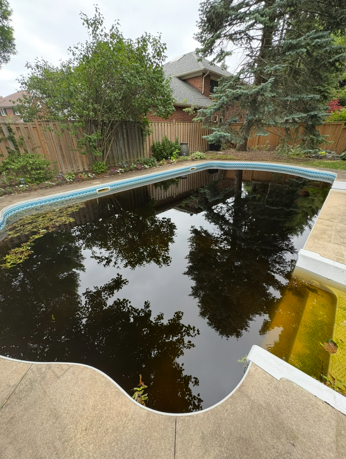Before &mdash; green pool